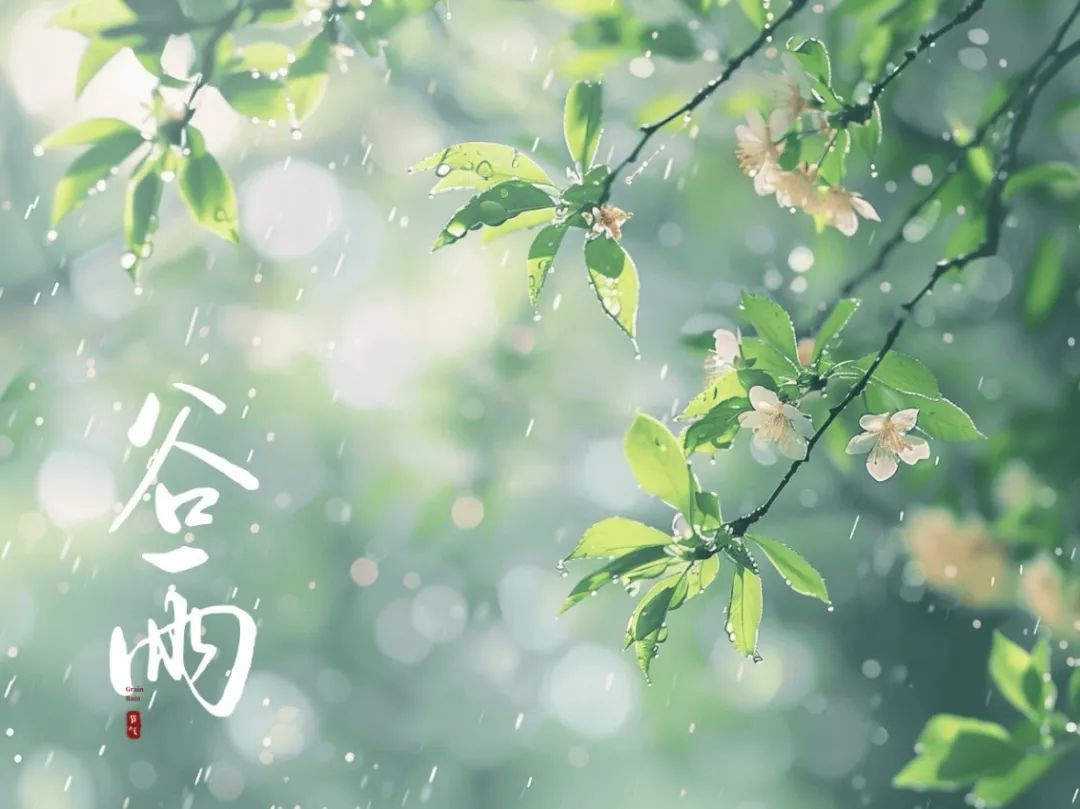 谷雨潤萬(wàn)物，酥香寄深情