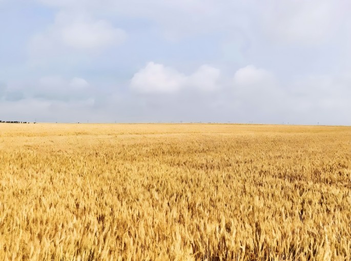 百年匠心守護｜衡陽(yáng)南北特為您守護舌尖上的溫暖